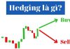 CHIẾN LƯỢC GIAO DỊCH HEDGING TRONG FOREX